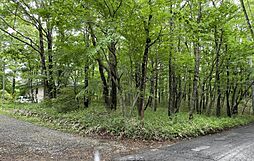物件画像 那須町高久乙 約150坪の土地