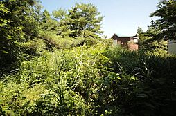 物件画像 約100坪 那須塩原市青木(土地)