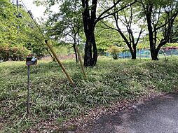 物件画像 約166坪 日光市萩垣面(土地)
