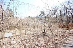 物件画像 約100坪の広大な土地 那須塩原市接骨木
