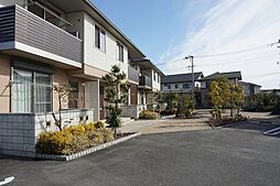 アンビシア　Ｃ