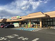 ■ＴＡＩＲＡＹＡ小金井店（徒歩3分／230ｍ）