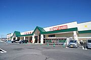 スーパー：とりせん岩井店まで車で3分（900ｍ）【営業時間】9：00～24：00