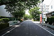 早稲田の街を南北に貫く早稲田のさくら並木は担当者のお気に入り徒歩ルート。夏は涼しく春は桜色のトンネルになります。