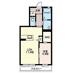 シャルール 1階1LDKの間取り