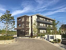 ロコ・ソラーレ