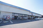 カワチ薬品総和店まで徒歩4分（290ｍ）【営業時間等、詳細は店舗ホームページをご確認ください】