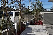 植栽とアプローチ部分です。新生活のスタートに是非ご検討くださいませ。