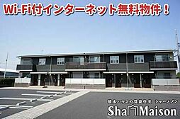 アンビエーラ 00205