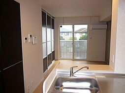 ケイ・ダビッドソン 205