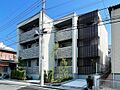 スプリング　クレスト