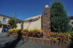 サンベルデ　Ｂ