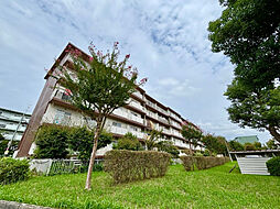 物件画像 東新井団地　9号棟