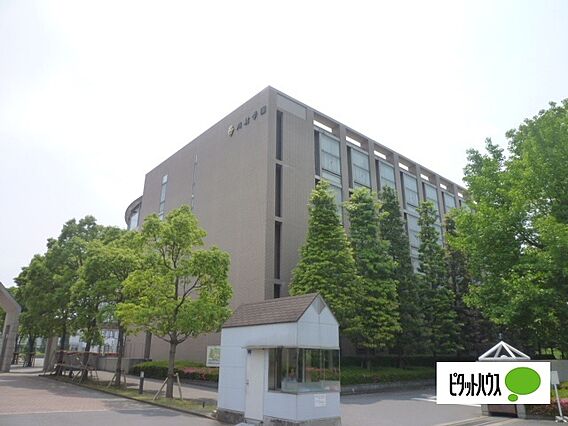 大学「私立川村...