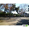 公園「金ケ作自...