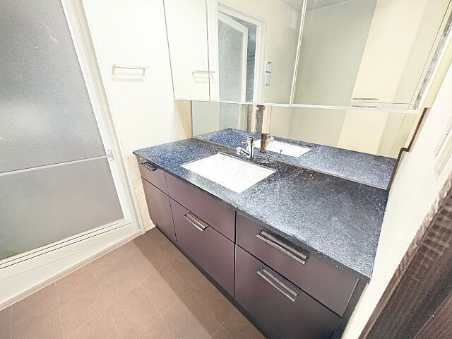 洗面 クレッセント川崎タワー 23階/-