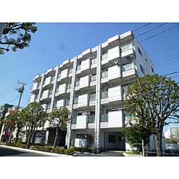 エルビィセイシン