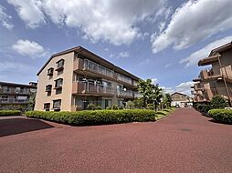 物件画像 コンドミニアム初石Ｄ棟