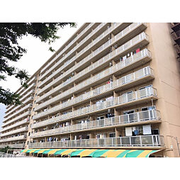 物件画像 三ツ沢ハイタウン1号棟