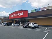 その他「クスリのアオキまで1100m」