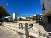 小学校「那覇市立那覇小学校まで583m」