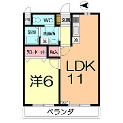 デルニアコート 1LDKの間取図画像