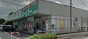 アンソレイエ・ジャルダン 102 ｜ 埼玉県蓮田市大字南新宿891番地7（賃貸アパート1LDK・1階・45.82㎡） その23