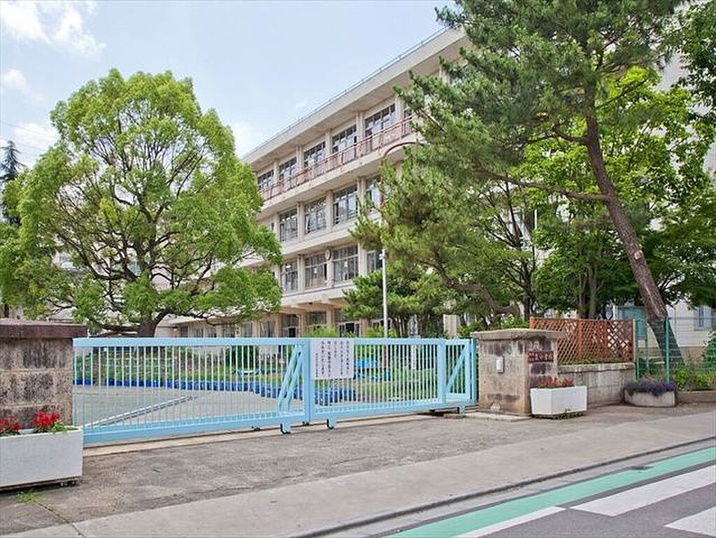 Image 3