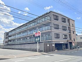 アルファ　312  ｜ 兵庫県尼崎市田能1丁目14-14（賃貸マンション2DK・3階・42.00㎡） その1