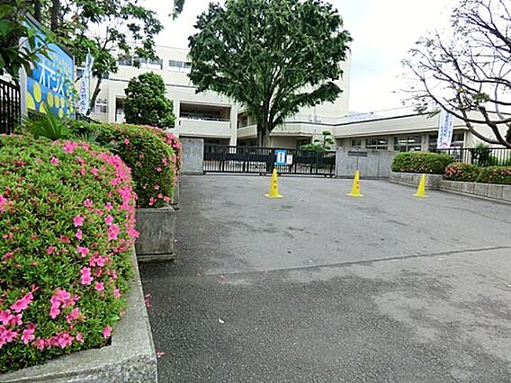 【小学校】今泉...