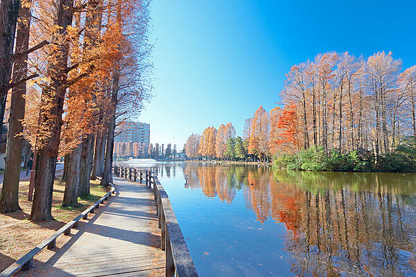周辺