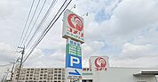コメリハード＆グリーン根岸店