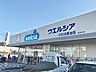 周辺：【ウエルシア川口北原台店】160ｍ（徒歩2分）