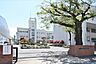 周辺：【さいたま市立大谷中学校】600ｍ（徒歩8分）