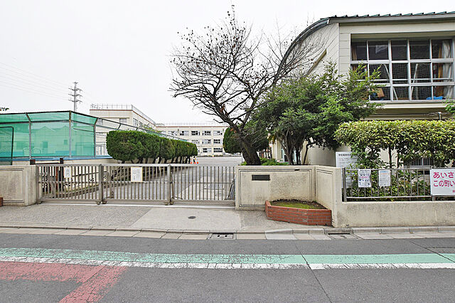 周辺 ライオンズガーデン綾瀬谷中公園 8階/-