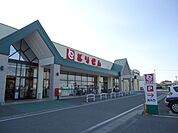 とりせん下田島店まで1、969ｍ
