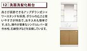 洗髪洗面化粧台（イメージ）