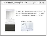 洗髪洗面化粧台（イメージ）