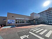 TAIRAYA佐倉店まで421ｍ