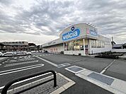 ウエルシア御殿場東店まで384ｍ