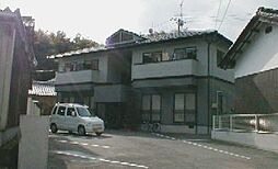 チェリーブロッサム A0102