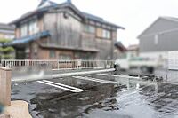 滋賀県彦根市古沢町597-2：物件画像／シャーメゾンショップ　株式会社イズミ　ベルロード店
