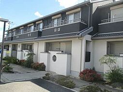 シャーメゾン千鳥