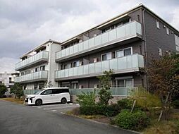 シャーメゾン　ライトリー