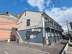 ブッシュ・クローバー 203