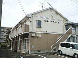 5 / 5