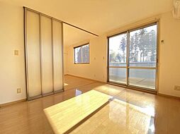 プラティークＢ 101