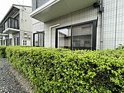 テラス