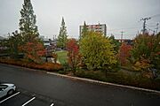 道路向かいの公園