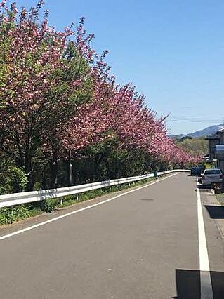 レジデンスK_その他_0
